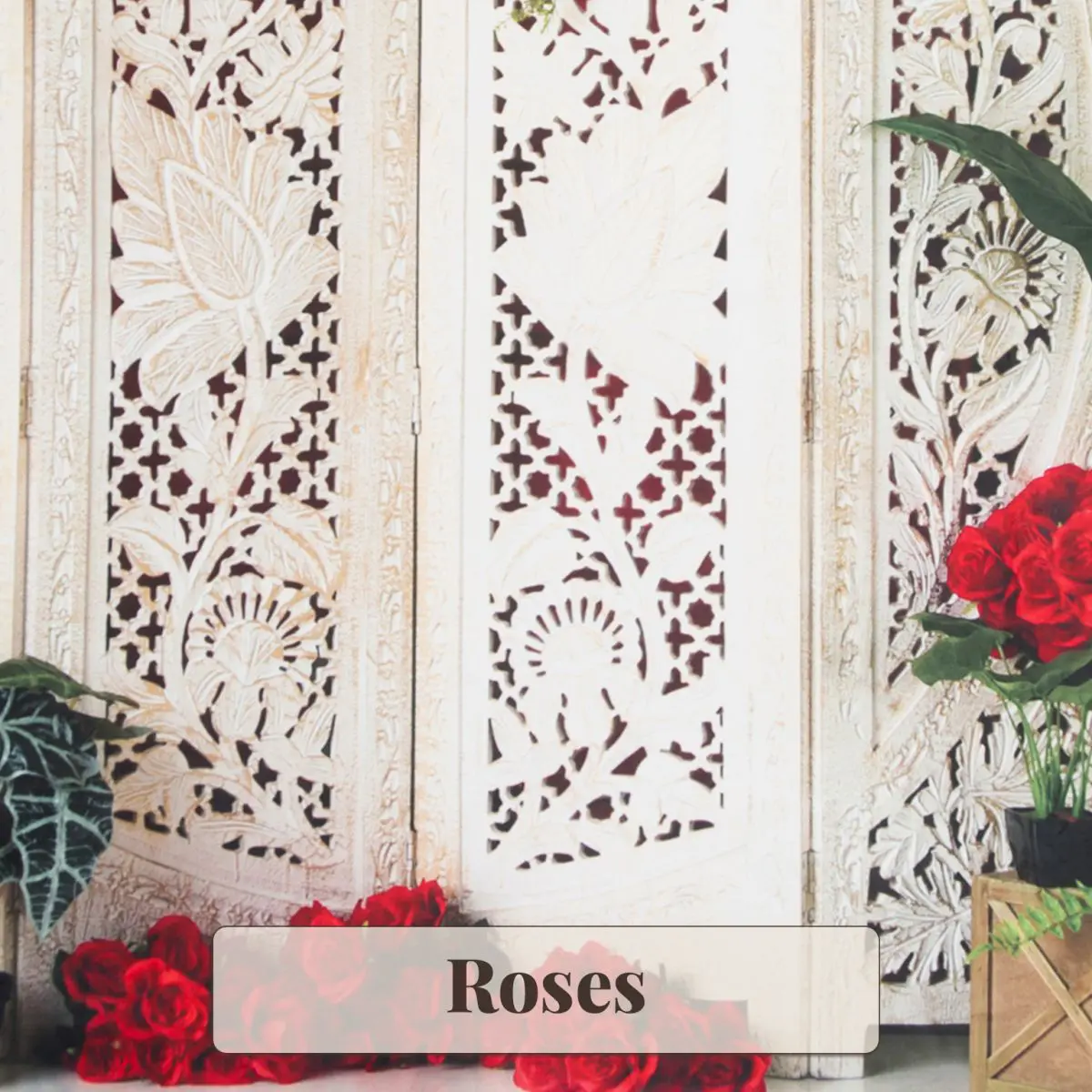 Roses Backdrop