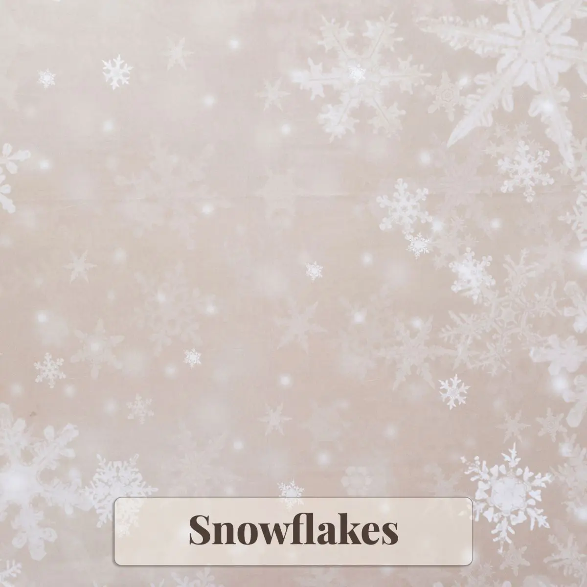 Snowflakes Backdrop