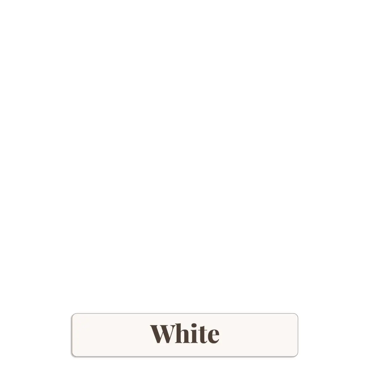 White Backdrop