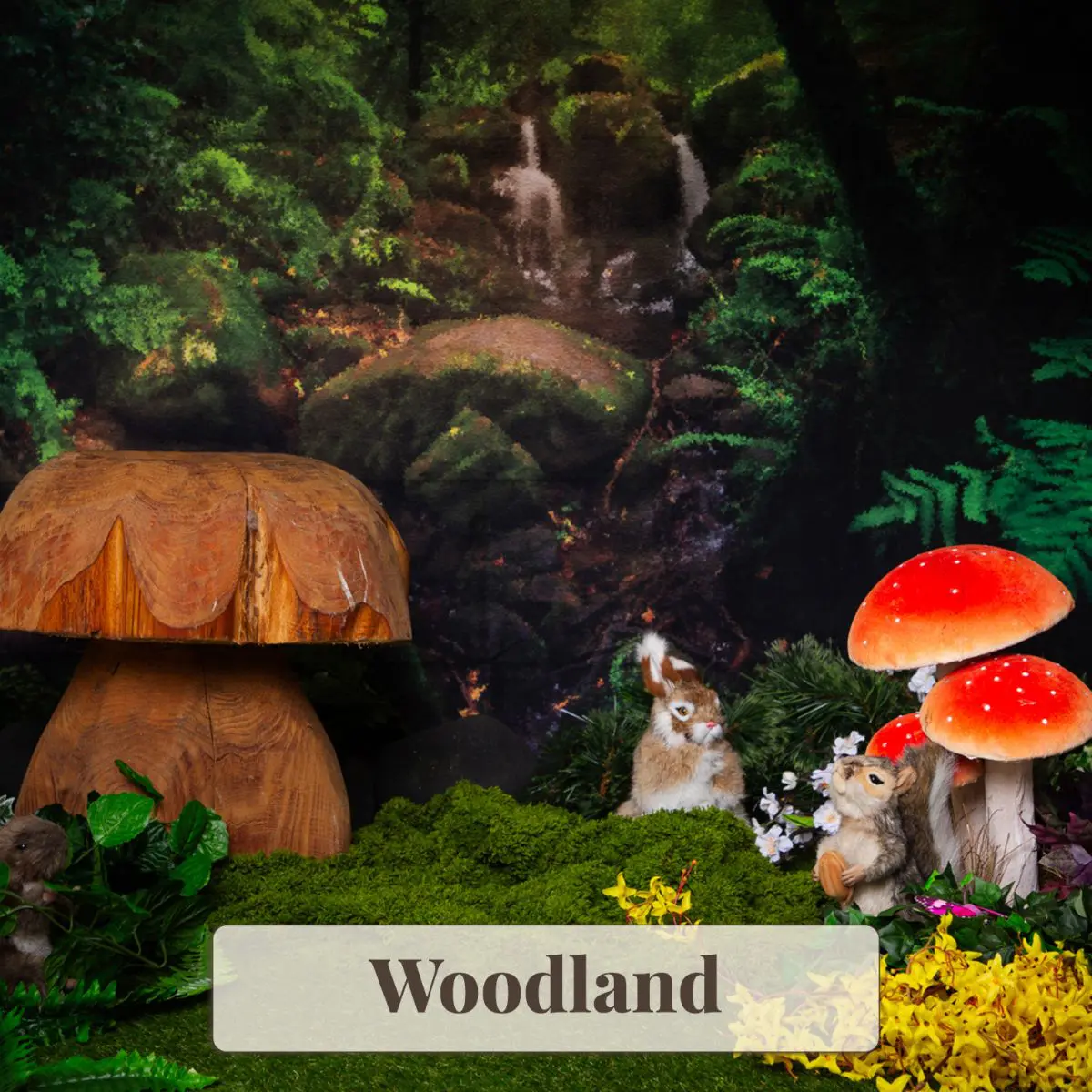 Woodland Backdrop