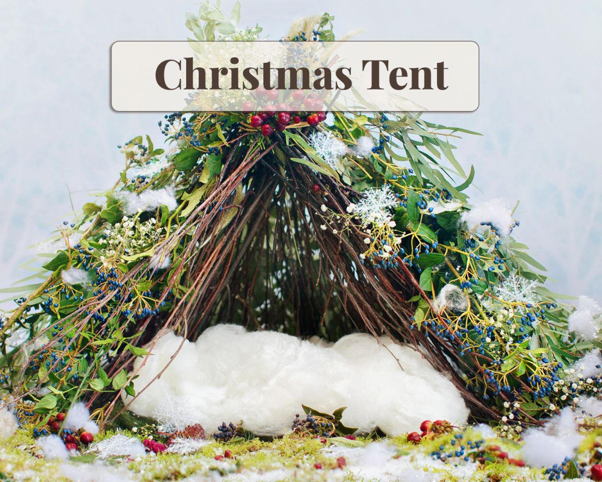 Newborn Digital Backdrop - Christmas Tent