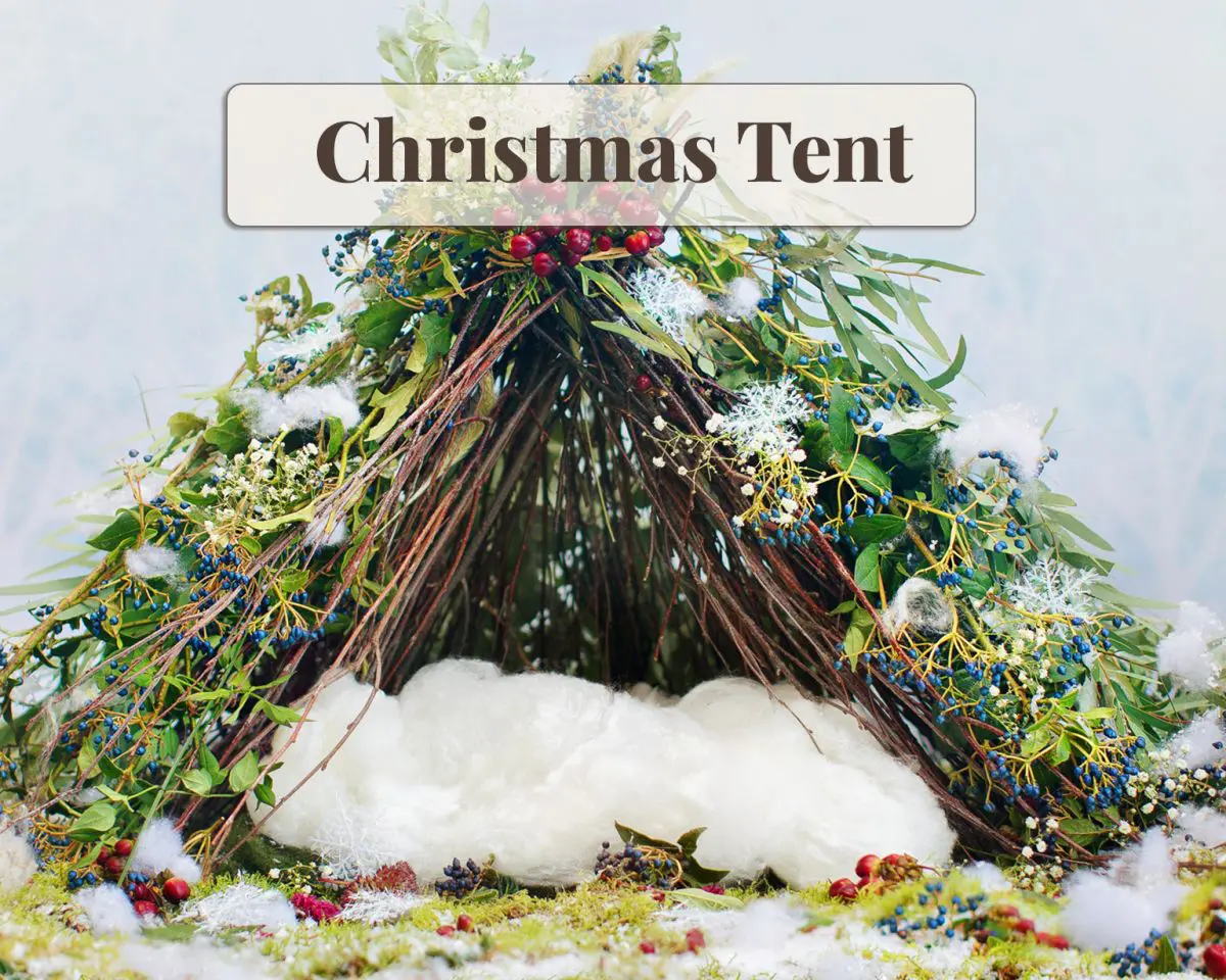 Newborn Digital Backdrop - Christmas Tent