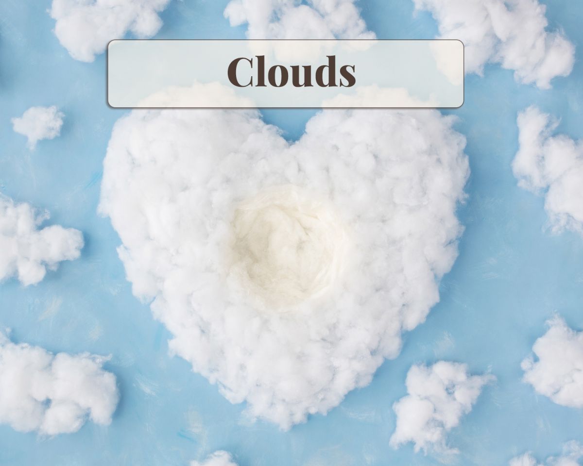 Newborn Digital Backdrop - Clouds