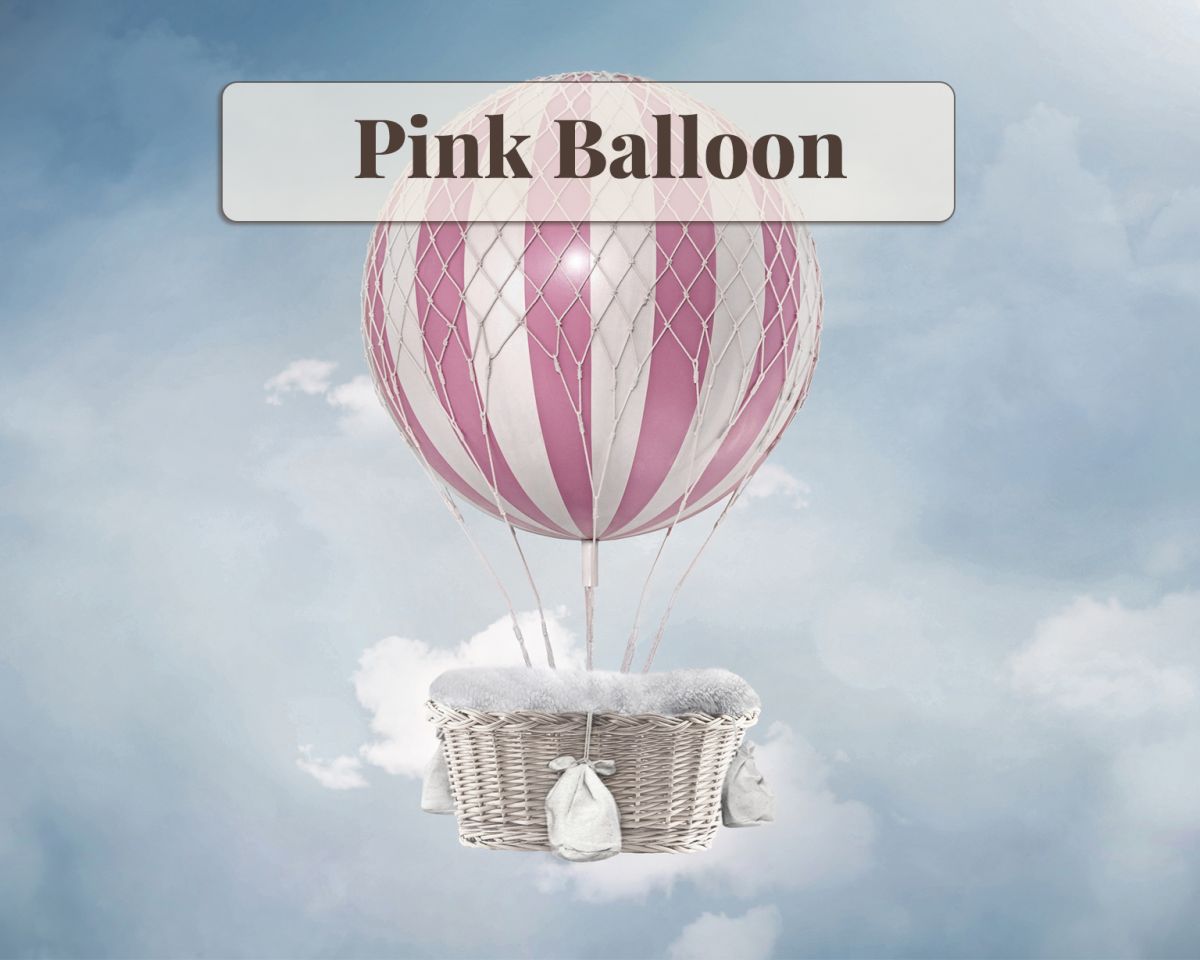Newborn Digital Backdrop - Pink Balloon