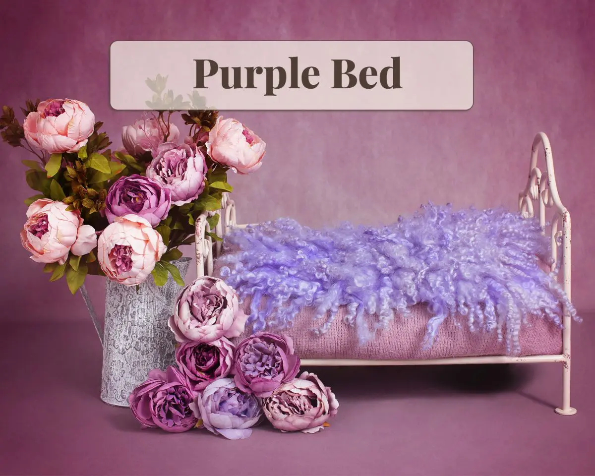 Newborn Digital Backdrop - Purple Bed