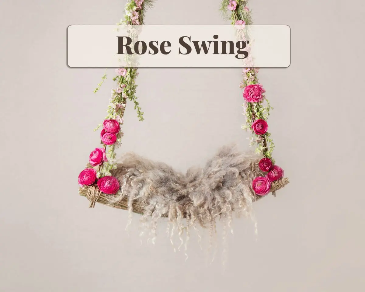 Newborn Digital Backdrop - Rose Swing