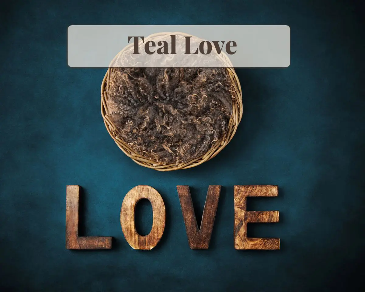 Newborn Digital Backdrop - Teal Love
