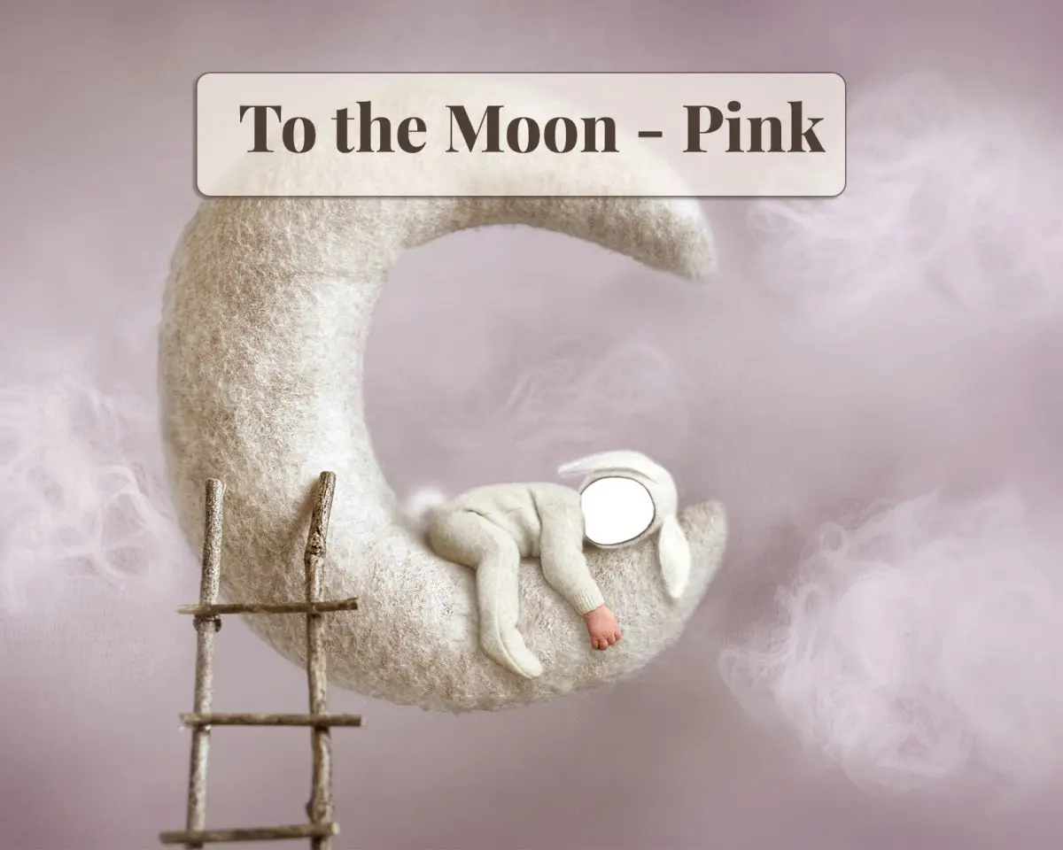 Newborn Digital Backdrop - Moon Pink
