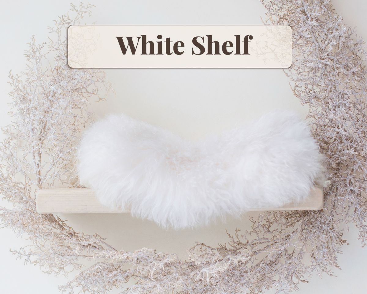 Newborn Digital Backdrop - White Shelf