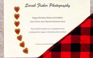 Dog Photography Gift Voucher