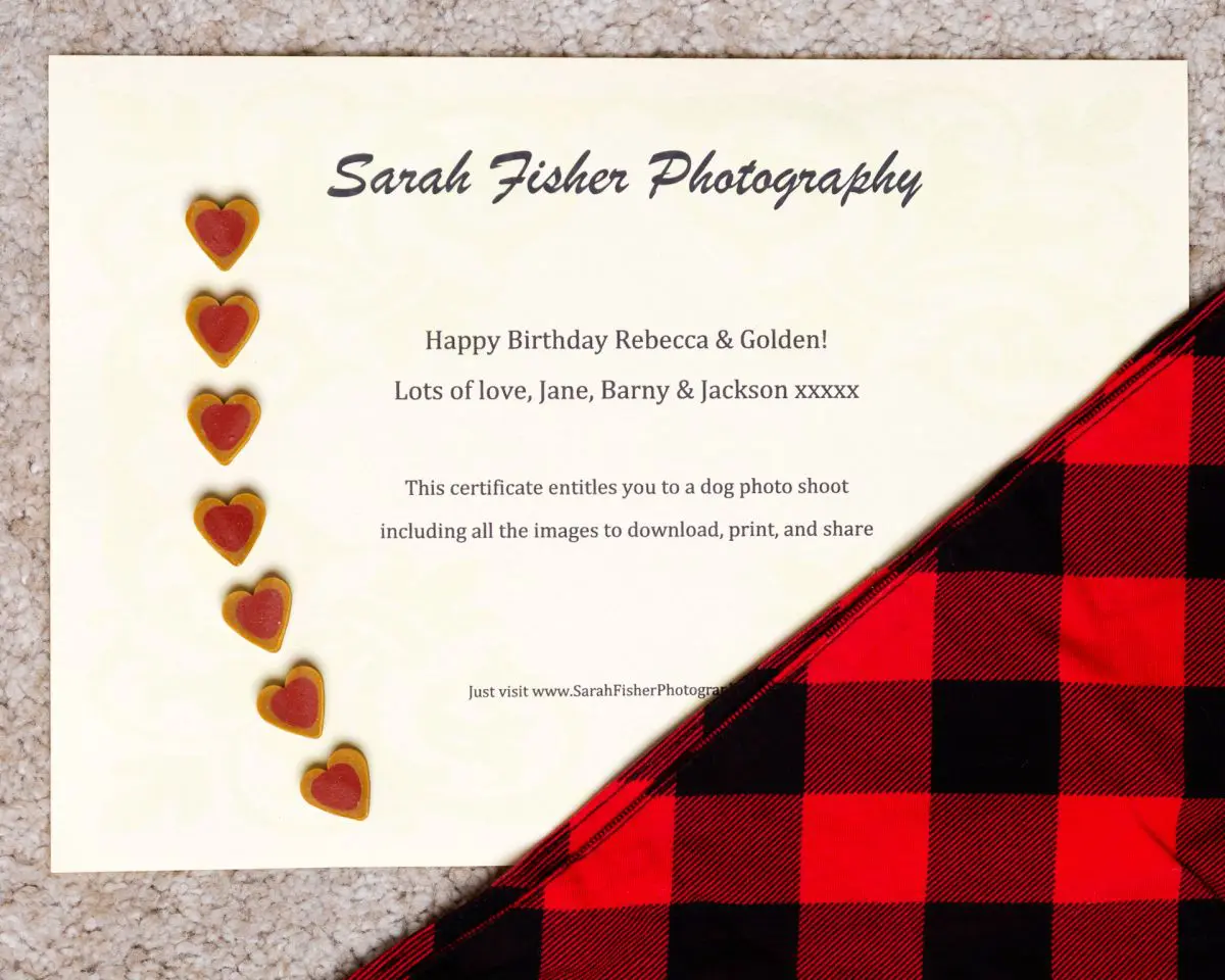 Dog Photography Gift Voucher