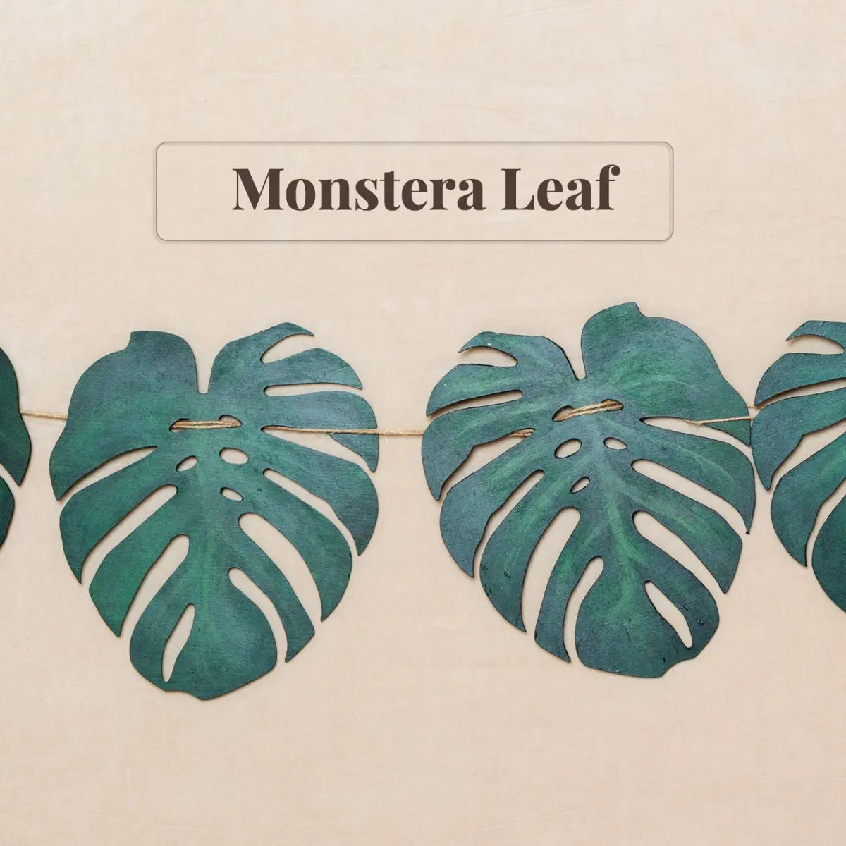 Monstera Leaf Bunting