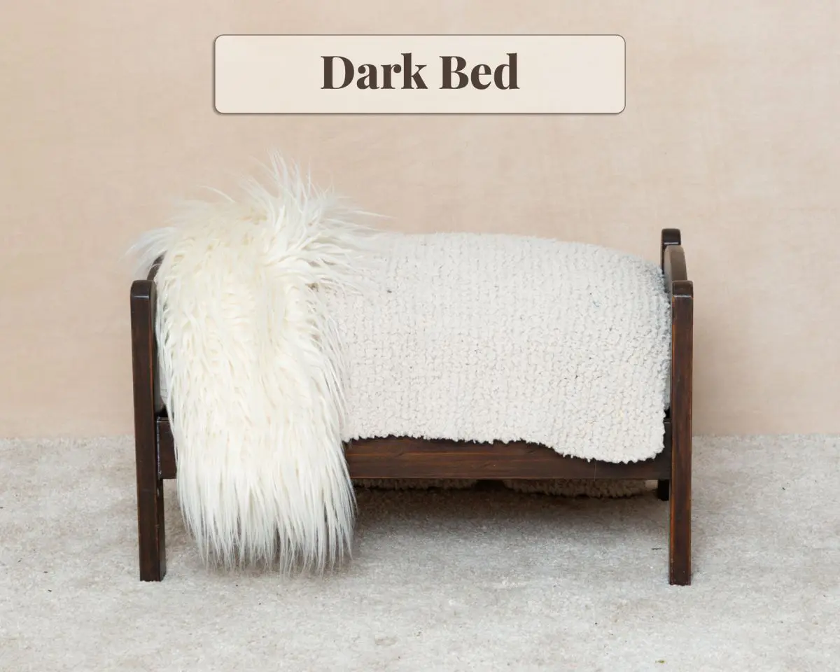 Studio Props Dark Bed
