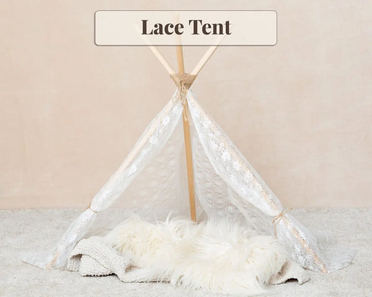 Studio Prop - Lace Tent