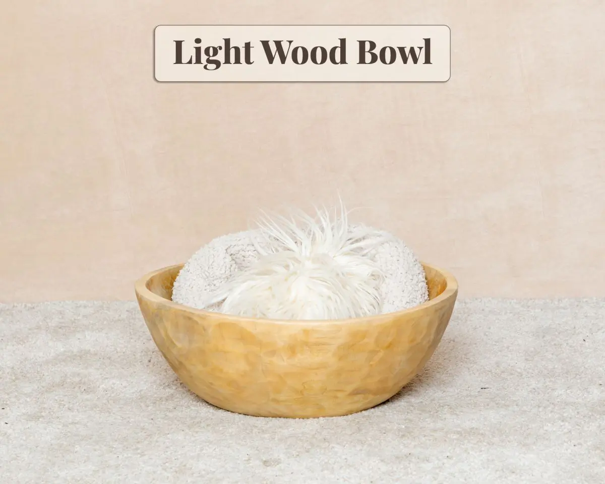 Studio Prop - Light Wood Bowl