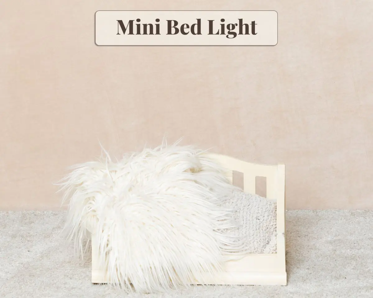 Studio Prop - Mini Bed Light