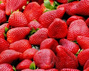 Historical Pregnancy Advice Historical Pregnancy Advice - Strawberries