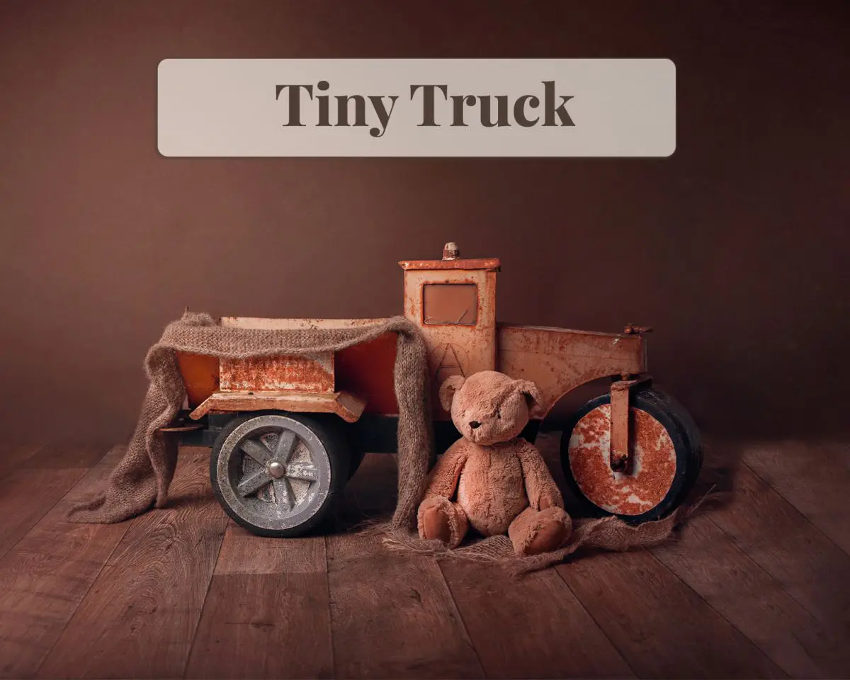 Newborn Digital Backdrop - Tiny Truck