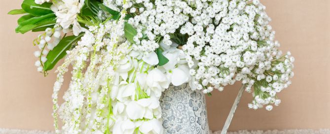 Studio Flowers Whites