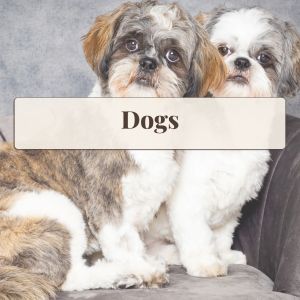 Tile - Dogs
