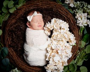Newborn Photography East Grinstead West Sussex a little girl sleeps in a nest with white hydrangeas
