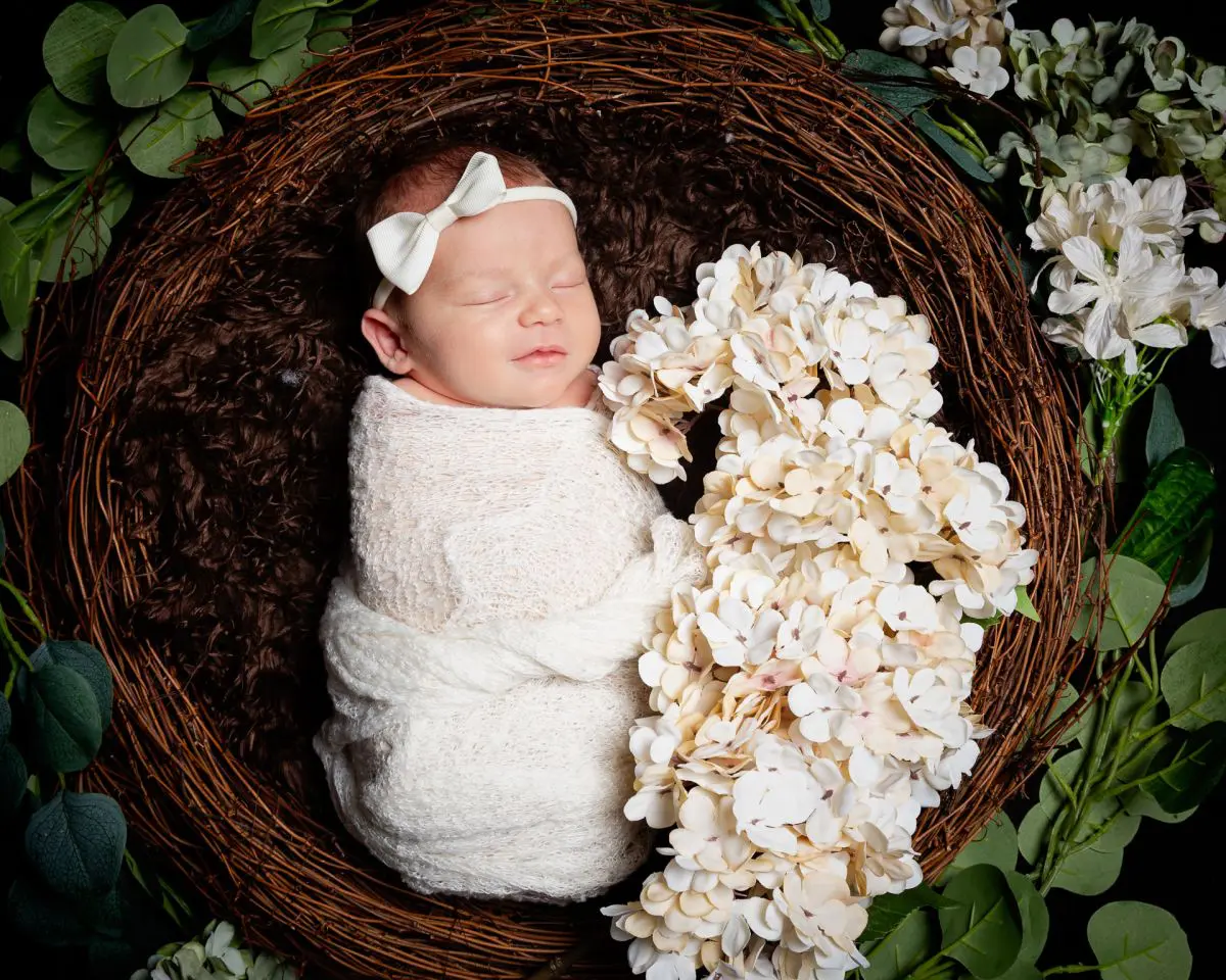 a little girl sleeps in a nest with white hydrangeas