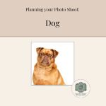 Pinterest Board - Plan your Session - Dog