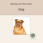Pinterest Board - Plan your Session - Dog