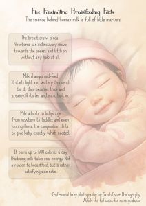 a simple guide to breastfeeding facts