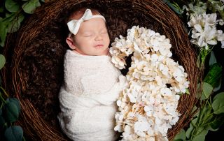 Anewborn is swaddled in white with a matching headband and sleeping in a nest with white flowers around her.
