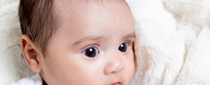 a baby of about 8 weeks old at a professional photo shoot in sussex