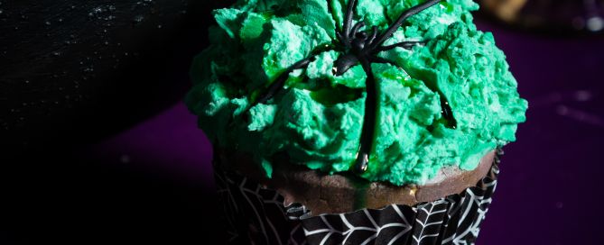 A cupcake with green icing and a spider decoration