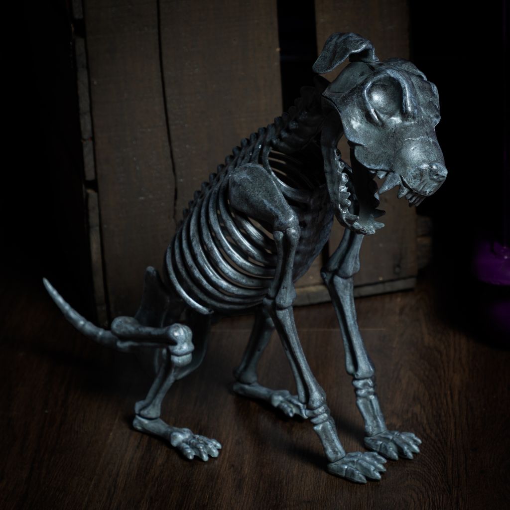 Rex the Skeleton Dog - A cast member at the Witches' Cafe Halloween Photo Shoots