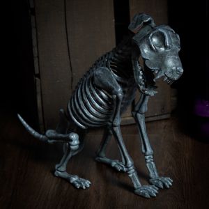 Rex the Skeleton Dog - A cast member at the Witches' Cafe Halloween Photo Shoots