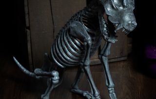 Rex the Skeleton Dog - A cast member at the Witches' Cafe Halloween Photo Shoots