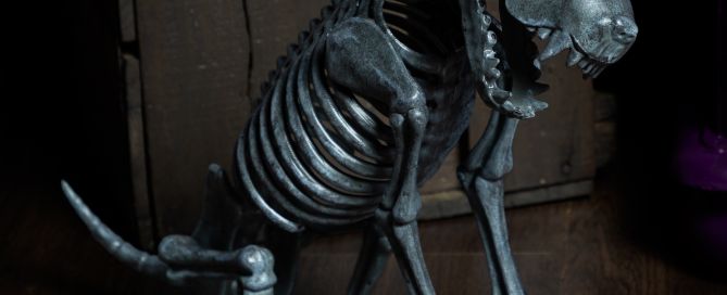 Rex the Skeleton Dog - A cast member at the Witches' Cafe Halloween Photo Shoots