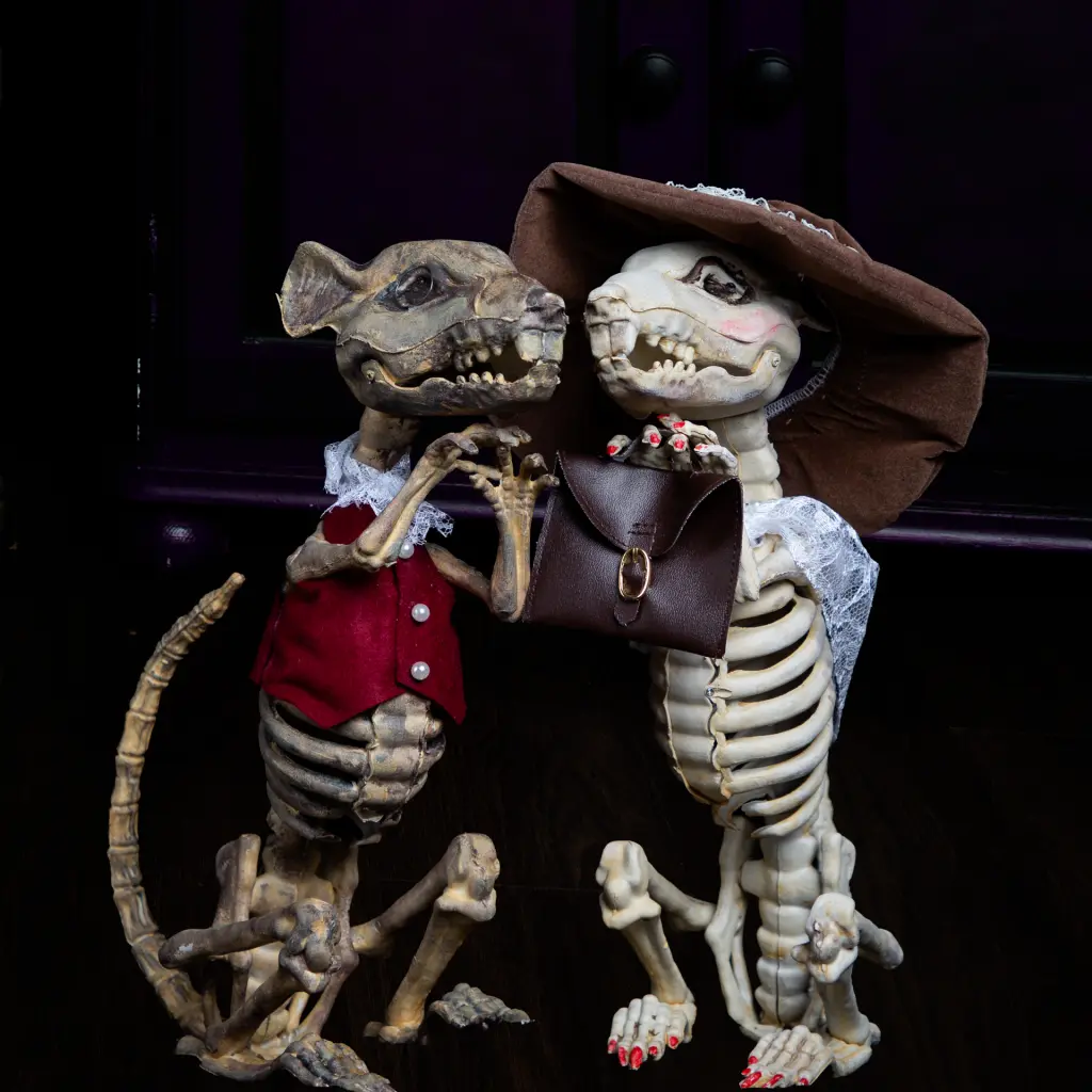 Skeleton Rats at my Halloween Photo Shoots The Duke and Duchess of Gnawbridge - Witches' Cafe Halloween Photo Shoots