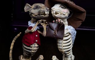 The Duke and Duchess of Gnawbridge - Witches' Cafe Halloween Photo Shoots