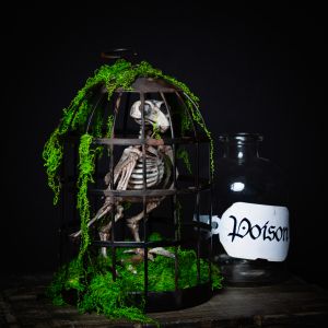 a skeleton bird in a cage - Barnabas the apothecary's informant.