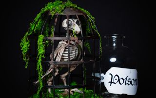 a skeleton bird in a cage - Barnabas the apothecary's informant.