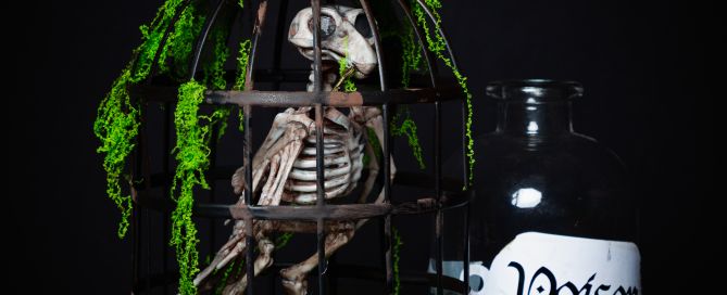 a skeleton bird in a cage - Barnabas the apothecary's informant.