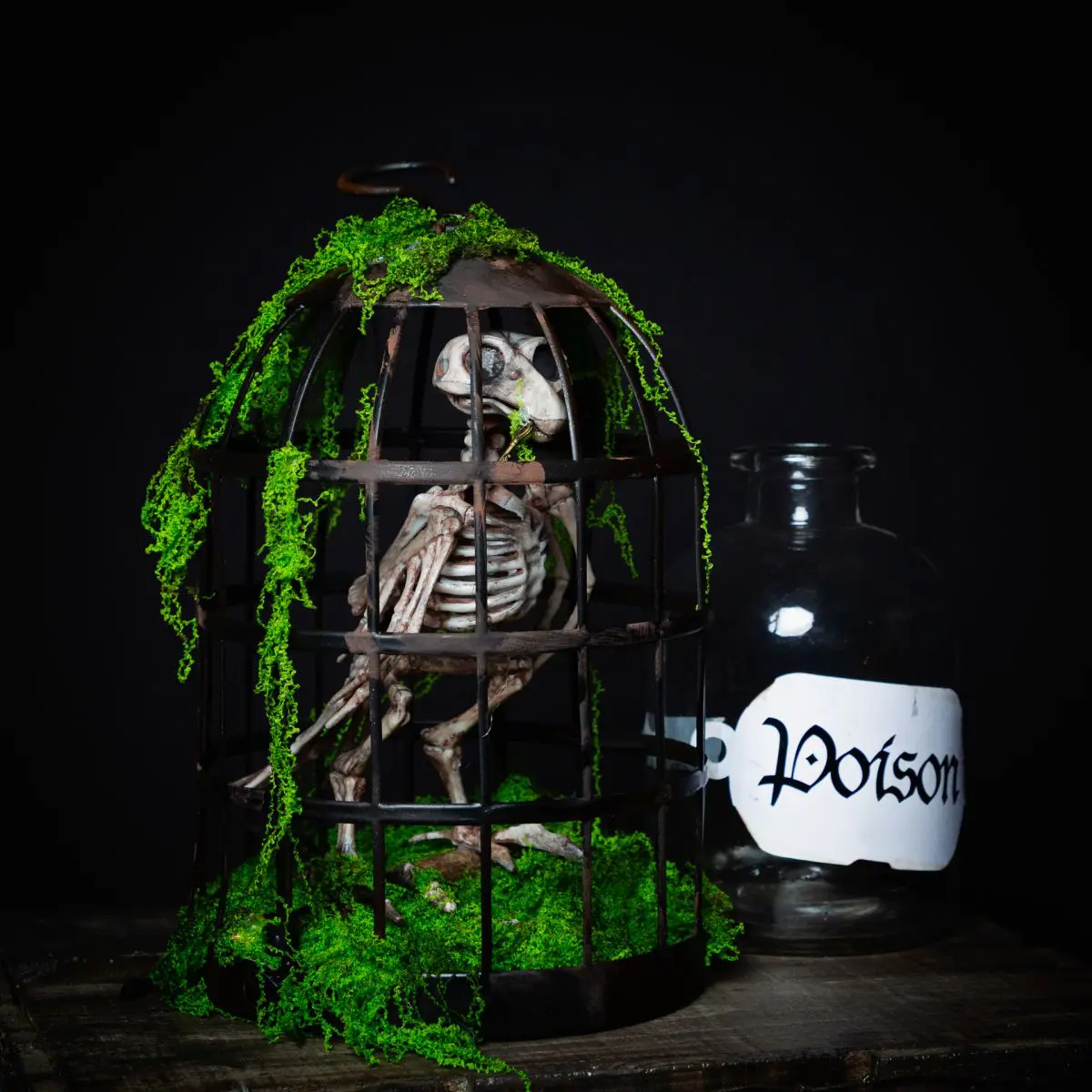 a skeleton bird in a cage - Barnabas the apothecary's informant.