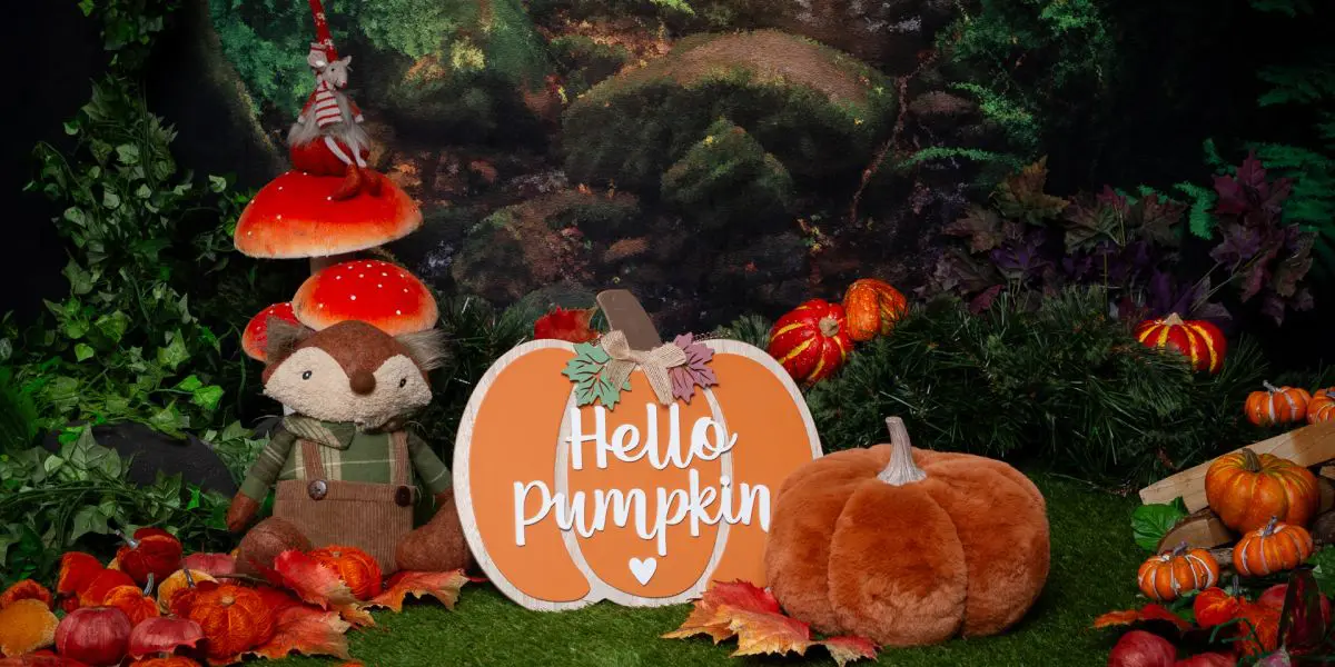 a pumpkin forest set in my studio in West Sussex for autumn mini sessions in 2025 - Hello Pumpkin