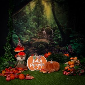 a pumpkin forest set in my studio in West Sussex for autumn mini sessions