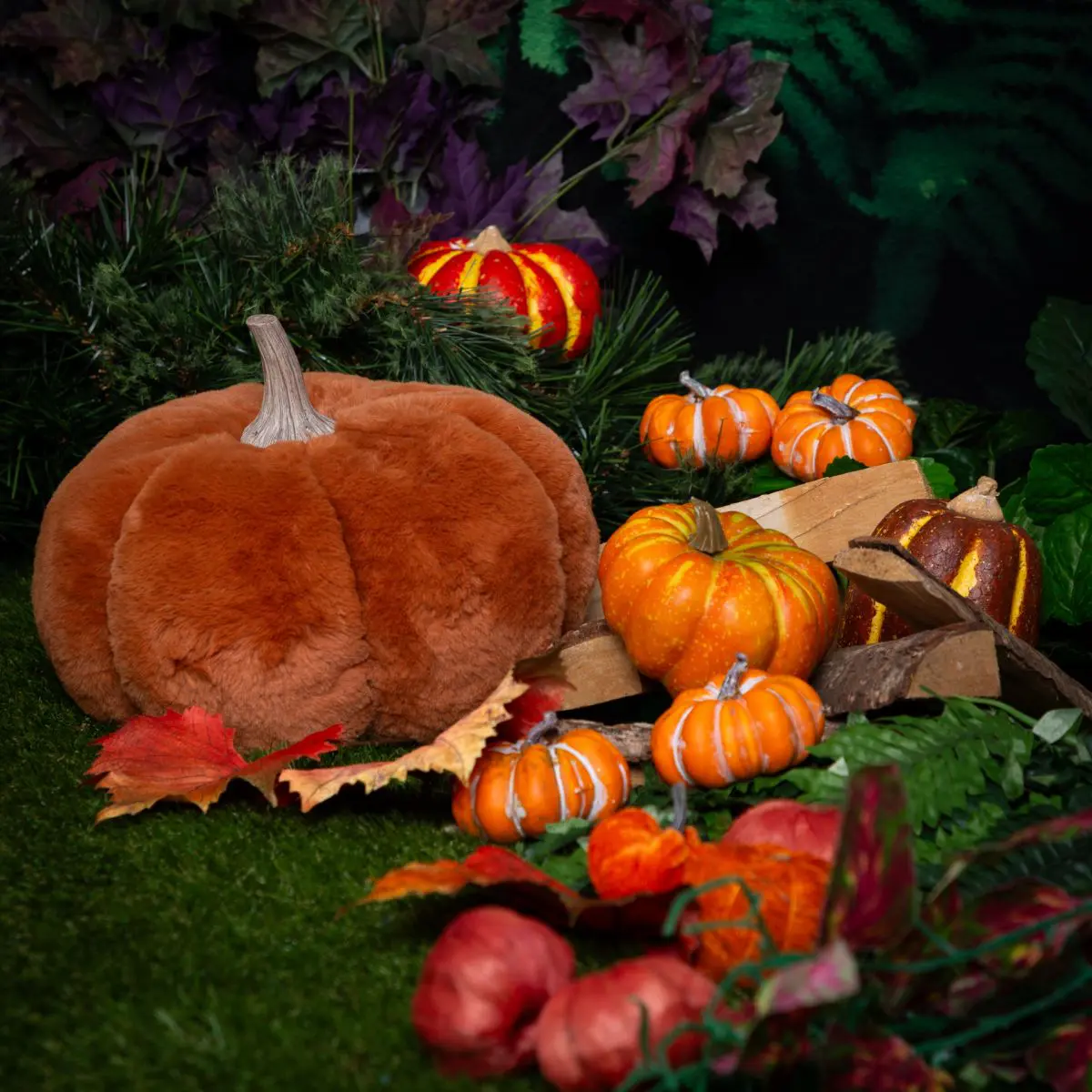 a pile of pumpkins in a forest setting from my Pumpkin Forest photo shoot event in West Sussex