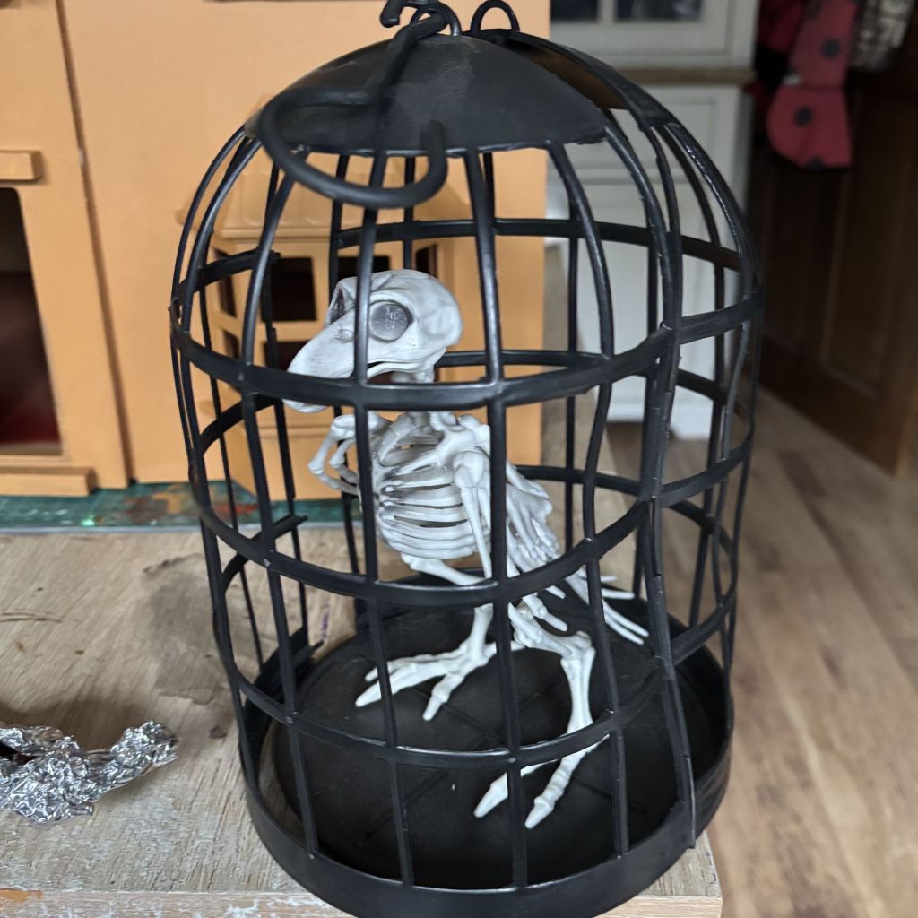 Barnabas the Skeleton Bird - A cast member at the Witches' Cafe Halloween Photo Shoots - Pre Glow Up