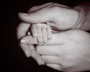 A black and white image of a parents hand holding their newborn's fingers
