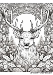 Free Printable Adult Christmas Colouring Book