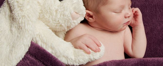 a newborn snuggles with a white rabbit toy on a purple blanket