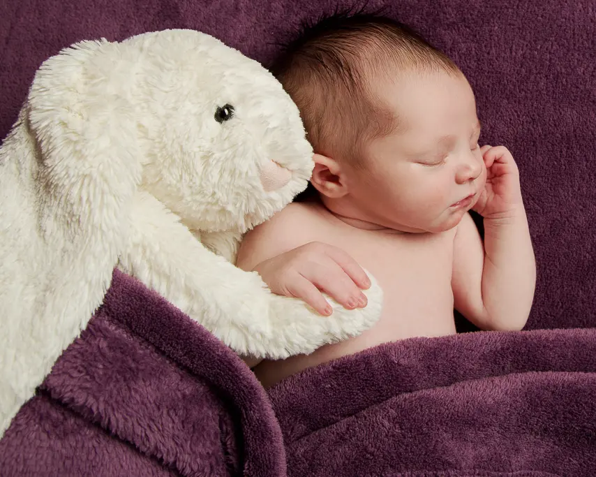 a newborn snuggles with a white rabbit toy on a purple blanket
